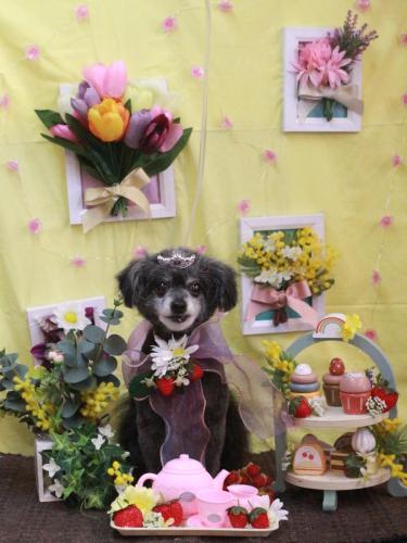 20230302ヒナちゃん